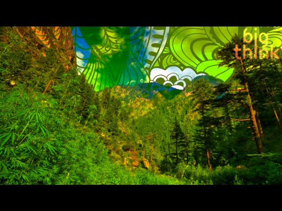 Is Marijuana Legalization a Huge Win for Civilization? With Jason Silva.