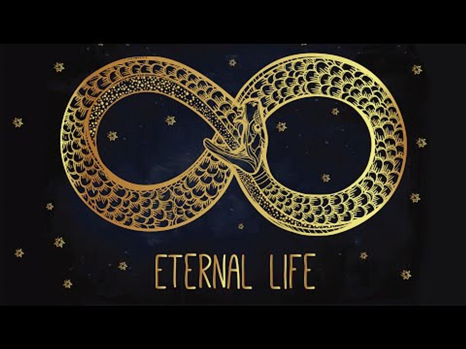 Immortality: When We Digitally Copy Our Minds, What Happens to Humanity?