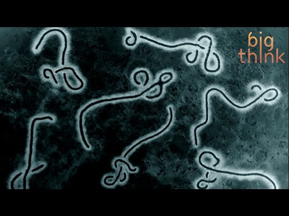 Sue Desmond-Hellmann: How Ebola Tested the Bill & Melinda Gates Foundation