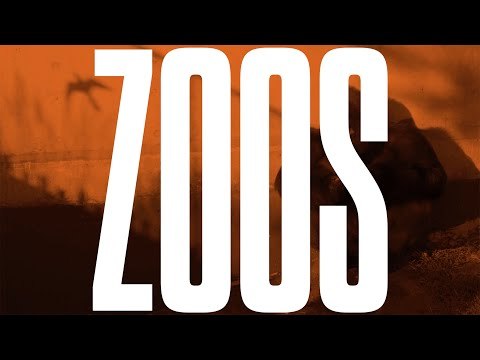 Zoos Enrich Our Lives but Cost Animals Their Dignity, Says Bill Nye