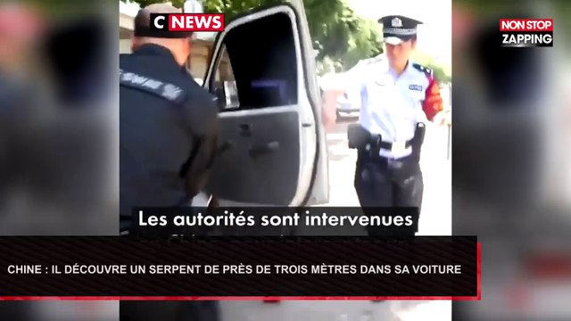 Chine : Il découvre un serpent vénimeux de près de trois mètres dans sa voiture (Vidéo)
