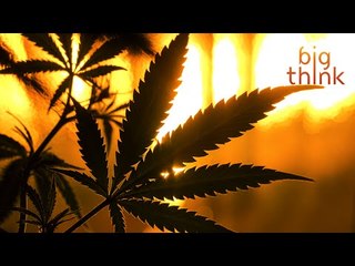 Leadership and Transparency: Obama’s Reddit Fail on Pot Legalization