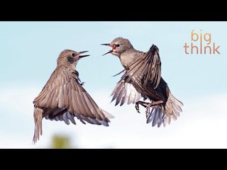 Believe It or Not, Stress Can Be Good For You