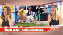 Söylemezsem Olmaz 6 Haziran 2018