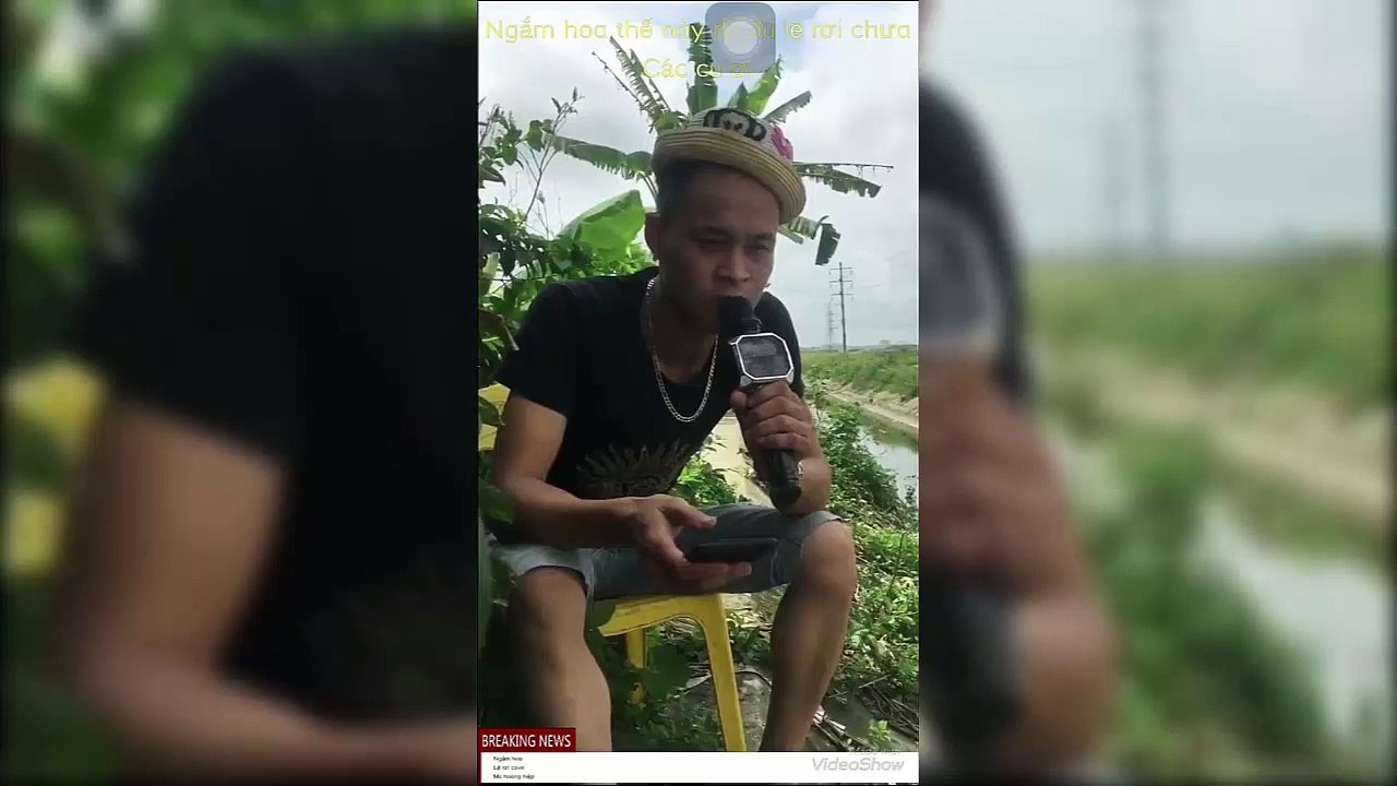 ngam hoa le roi