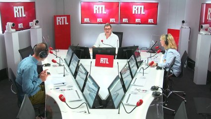 Vivre en ville entraîne des changements de taille chez les animaux - Les inattendus de Cyprien Cini