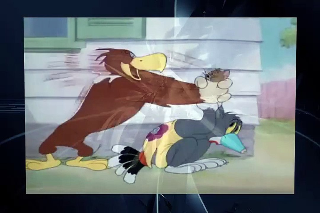 Tom And Jerry - Volume 01