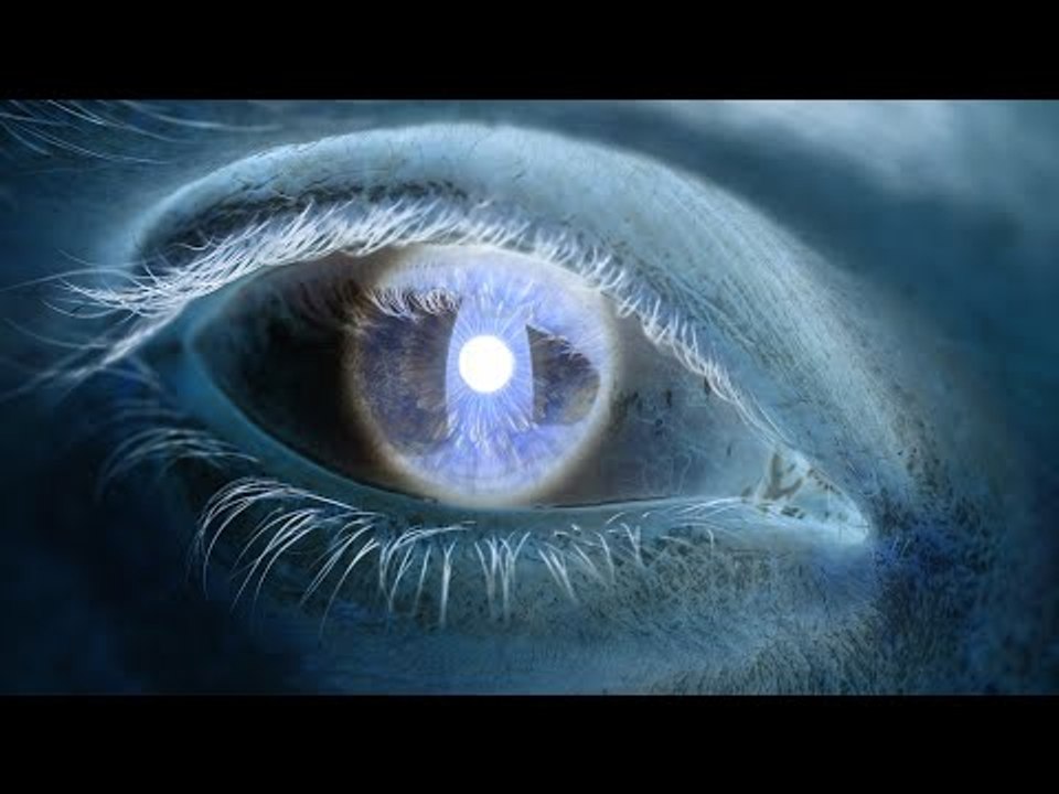 Invert Perceptions to Shift Perspective, with Jonathon Keats