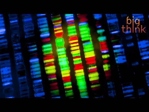 What Will it Take to Make you Look Good, Feel Good, and Think Good at 100? With Peter Diamandis