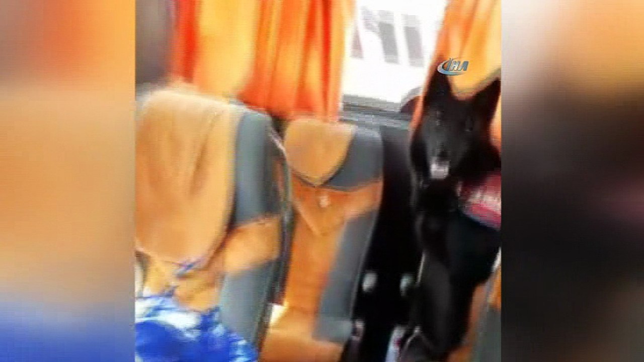 Uyuşturucu tacirleri 'Engel'e takıldı