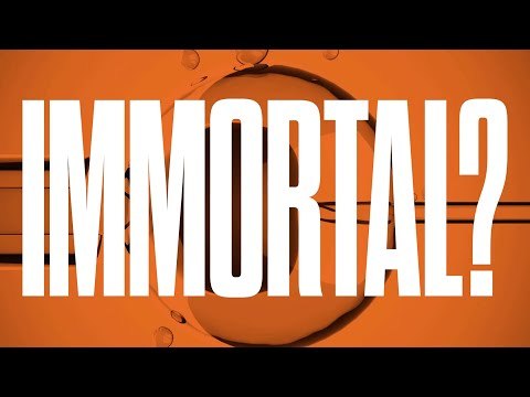 Can Stem Cells Reverse Aging? With Dr. David Agus