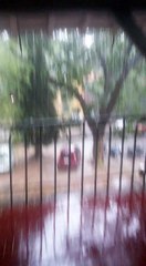 சென்னையில் பலத்த காற்றுடன் கூடிய கனமழை-வீடியோ