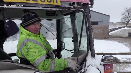 Farmer saves sheep covered in snowdrift from a certain death