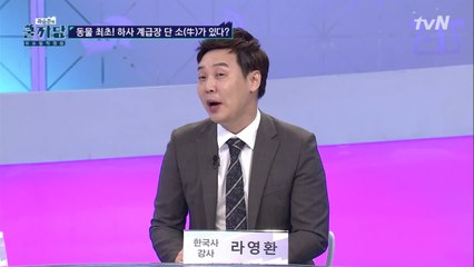 (진실 혹은 거짓) 동물 최초! 정식군인이 된 소가 있다??