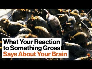 The Psychology (and Politics) of Disgust | Kathleen McAuliffe