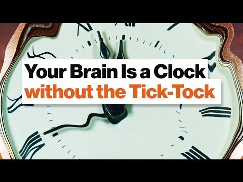 How Your Amazing Brain Tells Time: Circadian Watch, Pattern Pendulum, & Tempo Timer | Dean Buonomano