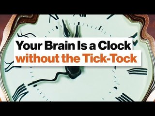 How Your Amazing Brain Tells Time: Circadian Watch, Pattern Pendulum, & Tempo Timer | Dean Buonomano
