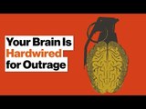 Why Your Brain Loves Feeling Outraged and Punishing People's Bad Behavior | Molly Crockett