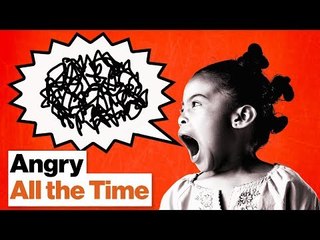 How Social Media Makes Us Angry All the Time | Molly Crockett