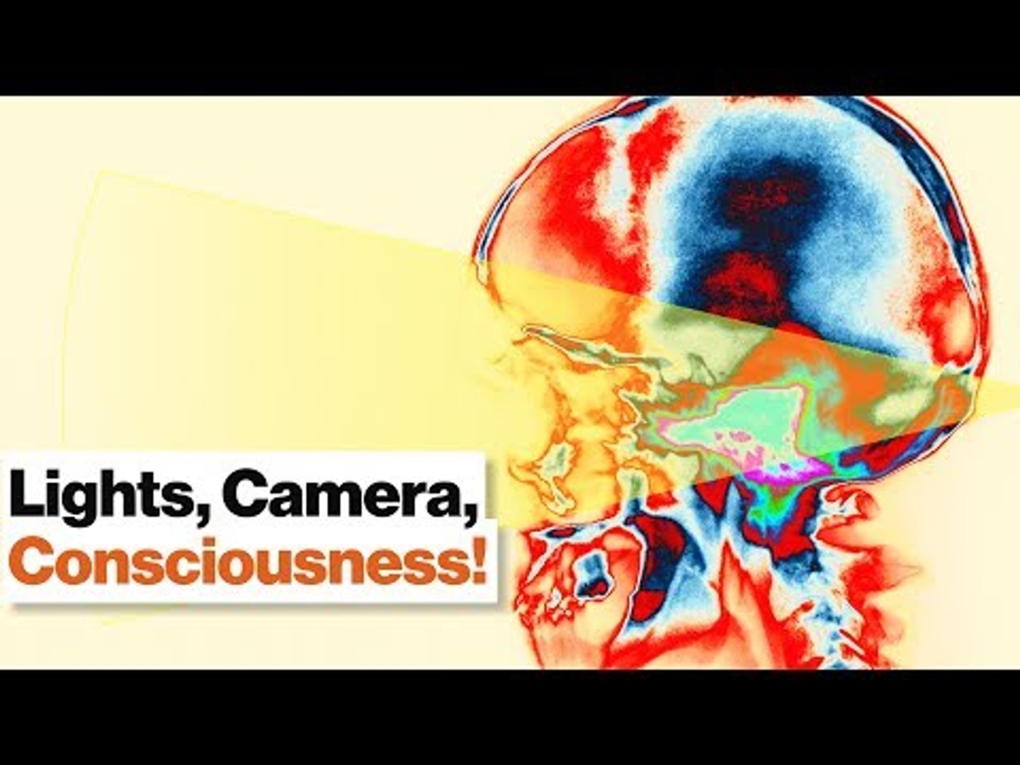 ⁣Consciousness Is a Narrative Created by Your Unconscious Mind | Dean Buonomano