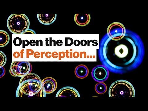 Diversity of Groups Isn't Enough: We Need Diverse Experiences to Problem Solve | Beau Lotto