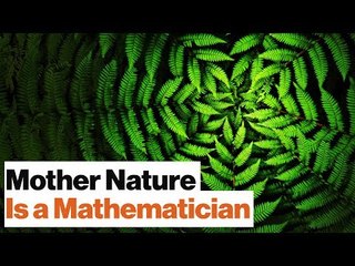 Universal Mathematics: All Life on Earth Is Bound by One Spooky Algorithm | Geoffrey West