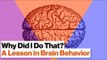 3 Brain Systems That Control Your Behavior: Reptilian, Limbic, Neo Cortex | Robert Sapolsky
