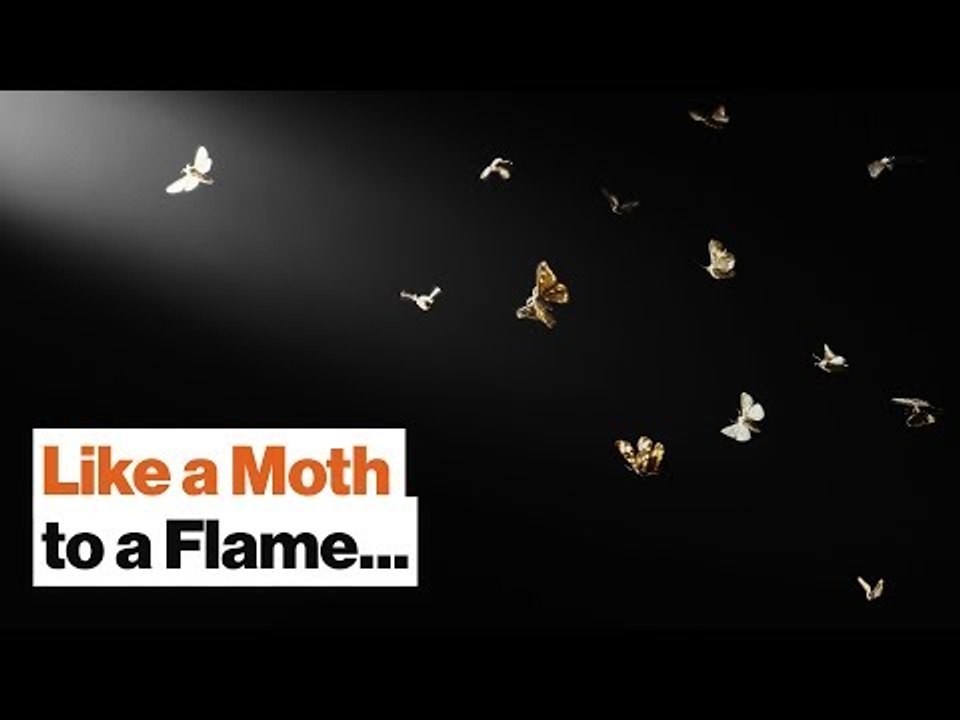 Richard Dawkins: Why Religion and Evolution Don't Mix Well