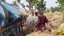 Harvesting Trasher Machine With MF240 Tractor _ Agriculture In Pakistan