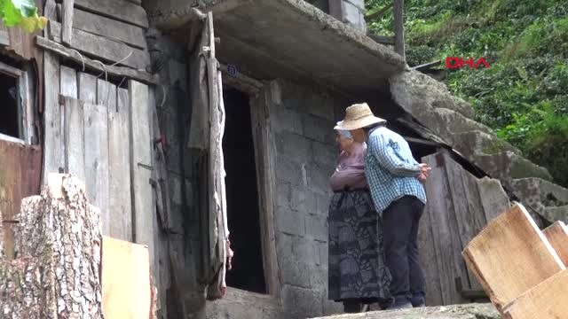 Artvin'de Büyükbaş Hayvan Ölümleri Tedirginlik Yarattı