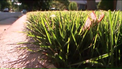 94-Year-Old Woman Fighting City Over 'Impeach Trump' Sign