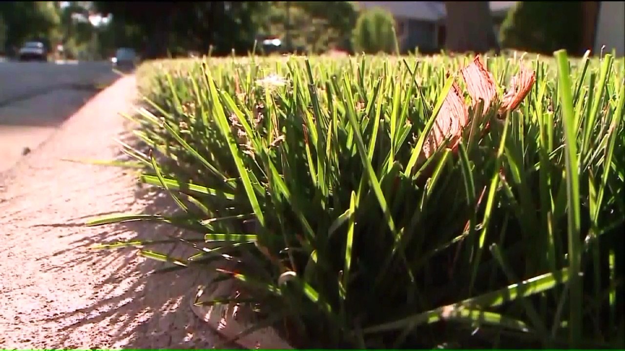 94-Year-Old Woman Fighting City Over 'Impeach Trump' Sign