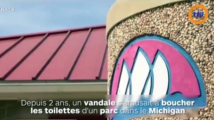 Cet homme s'amusait à boucher des toilettes publiques