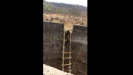 Sauvetage d'un léopard coincé dans un puits