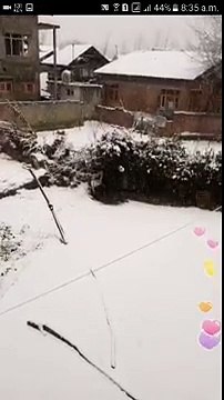 new imo mobile video live call 1341