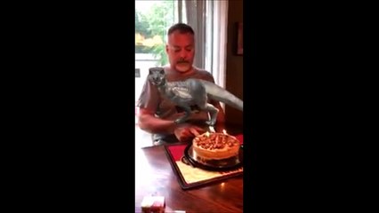 Un filtre Dinosaure qui prend tout son sens quand papa souffle ses bougies