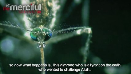 Nimrod The Tyrant Who Challenged God (Allah)