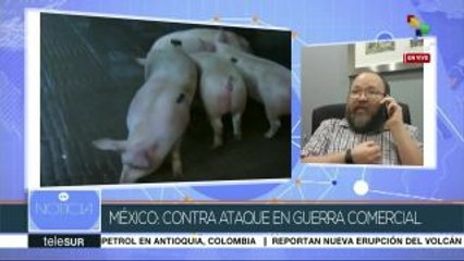 Azúa: Con los aranceles, Trump está pausando negociación del TLCAN