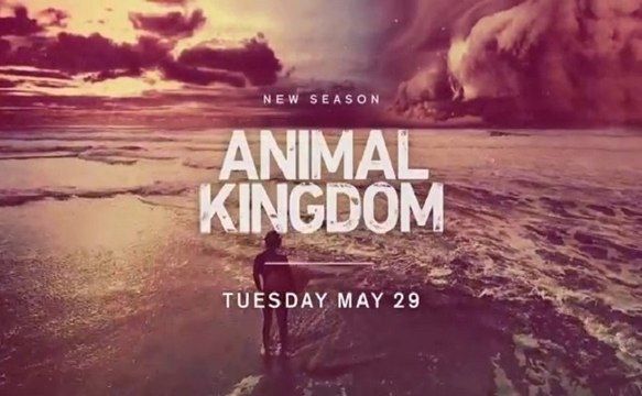 Animal Kingdom - Promo 3x03