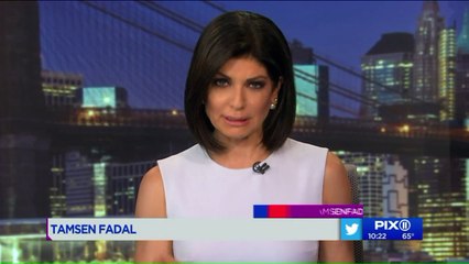 Police Searching for 2 Men After Violent Robbery at New York City Bodega