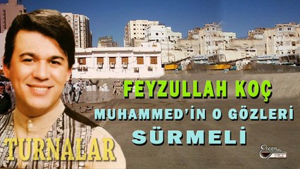 Feyzullah Koç - Turnalar (Official Video)