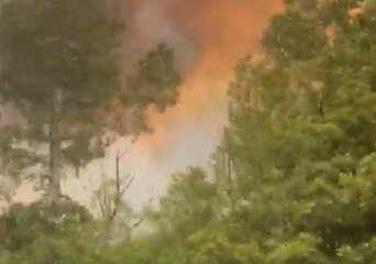 Colorado's 416 Wildfire Grows by 1,000 Acres Overnight