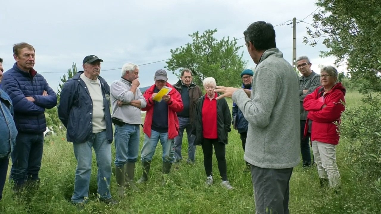 Alpes-de-Haute-Provence : les oléiculteurs ne prennent pas la mouche ... ils la traitent !