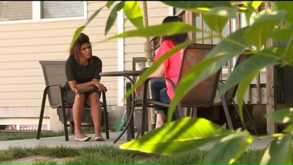 Dog Lovers Fight Back Against City-Wide Pit Bull Ban in Missouri