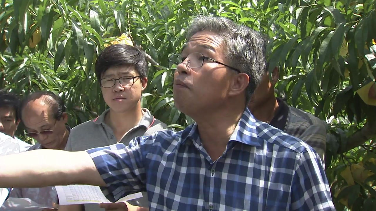 남북 화해 무드, 농업·학술 교류도 물꼬 / YTN