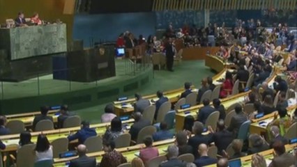 República Dominicana accede por primera vez al Consejo de Seguridad de la ONU
