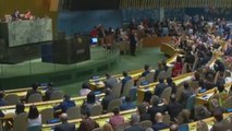 República Dominicana accede por primera vez al Consejo de Seguridad de la ONU