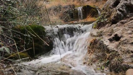 LOS SONIDOS MAS RELAJANTES DE LA NATURALEZA