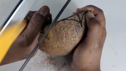 নারিকেলের মালা দিয়ে ইউনিক আইডিয়া   Awesome Craft Idea With Coconut Shell