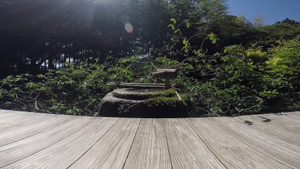 호센인 4｜Hosen-in Temple 4｜宝泉院 4